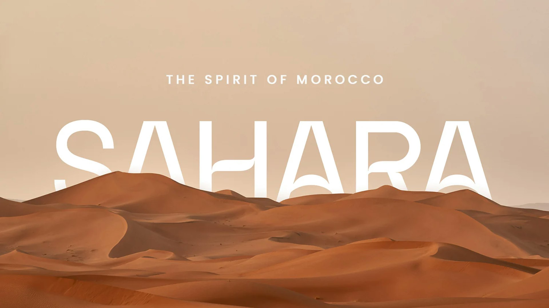 Tasting of Sahara, fig-based spirit drink @ Drink Sahara